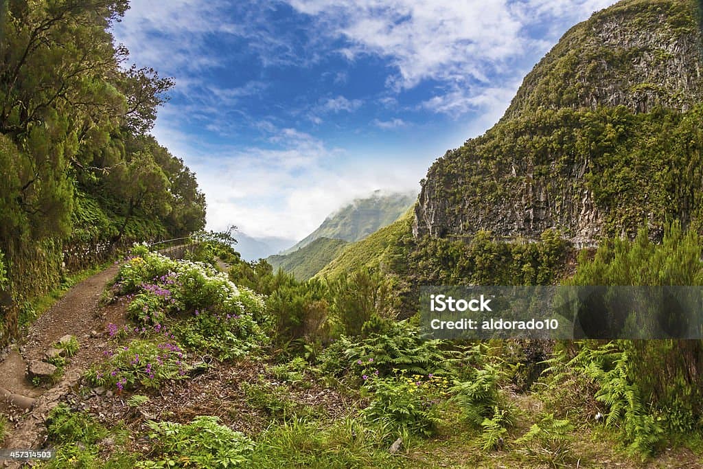 carousel image thumbnail 2