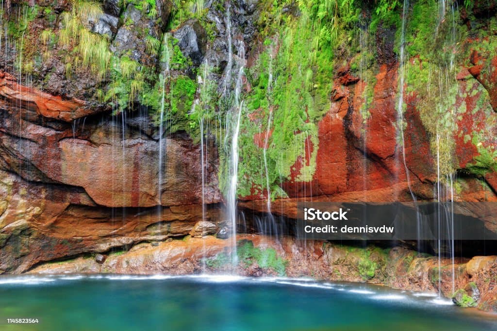 carousel image thumbnail 4