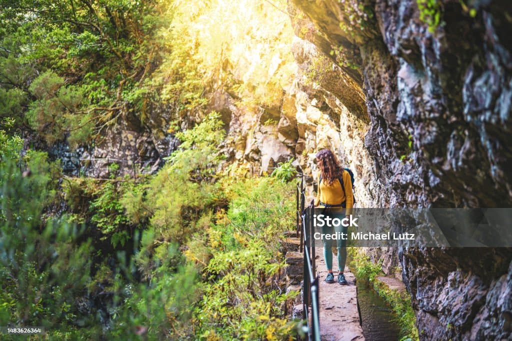 carousel image thumbnail 3