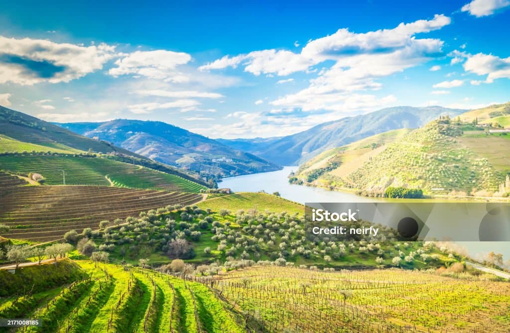 carousel image thumbnail 3