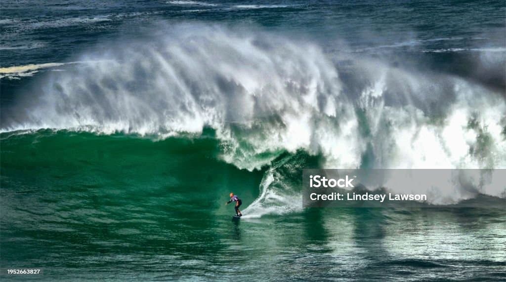 carousel image thumbnail 4