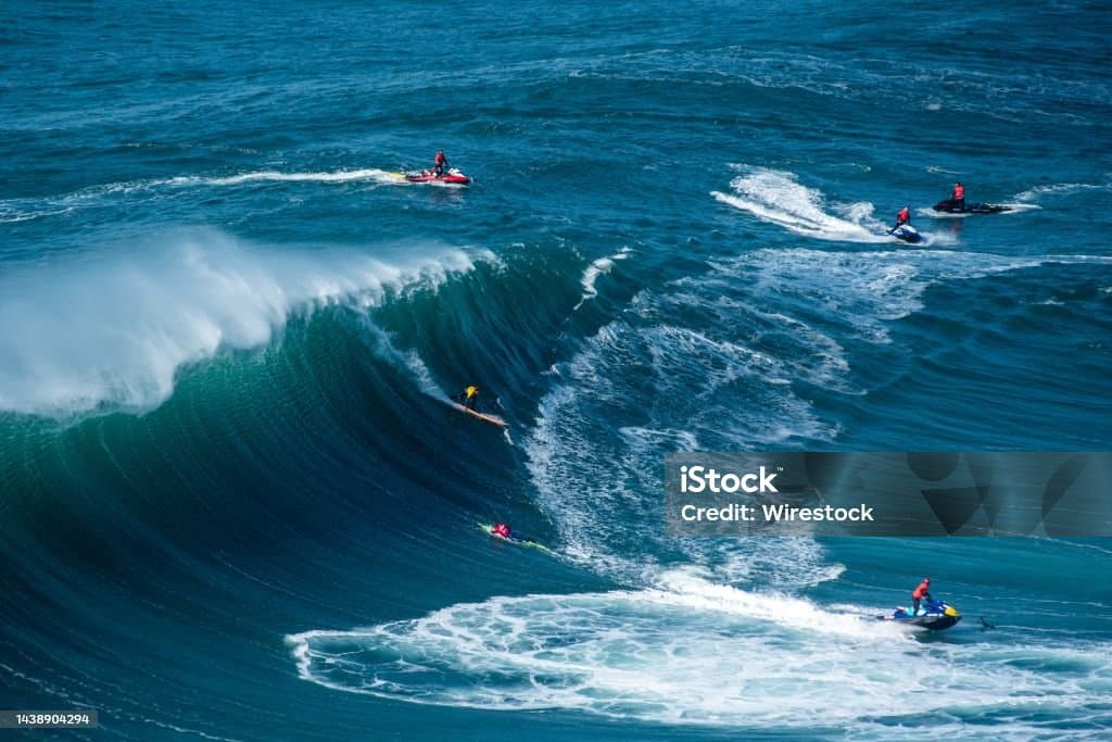 carousel image thumbnail 5